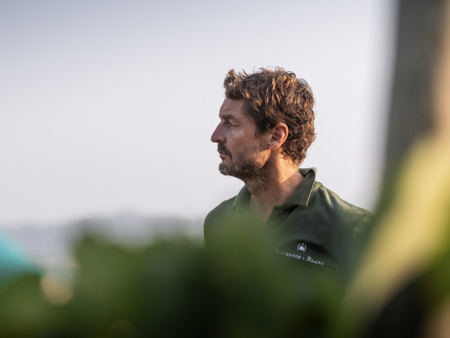 RaventosiBlanc's tweet photo. "The best it’s that my ancestors worked with Xarel·lo, no pinot noir, no Chardonnay. This #LocalVariety gives a distinctive character to our #wines.”🍇
- Pepe Raventós @VINPepeRaventos
#quoteoftheday #SparklingWines https://t.co/GcpGo4J46O