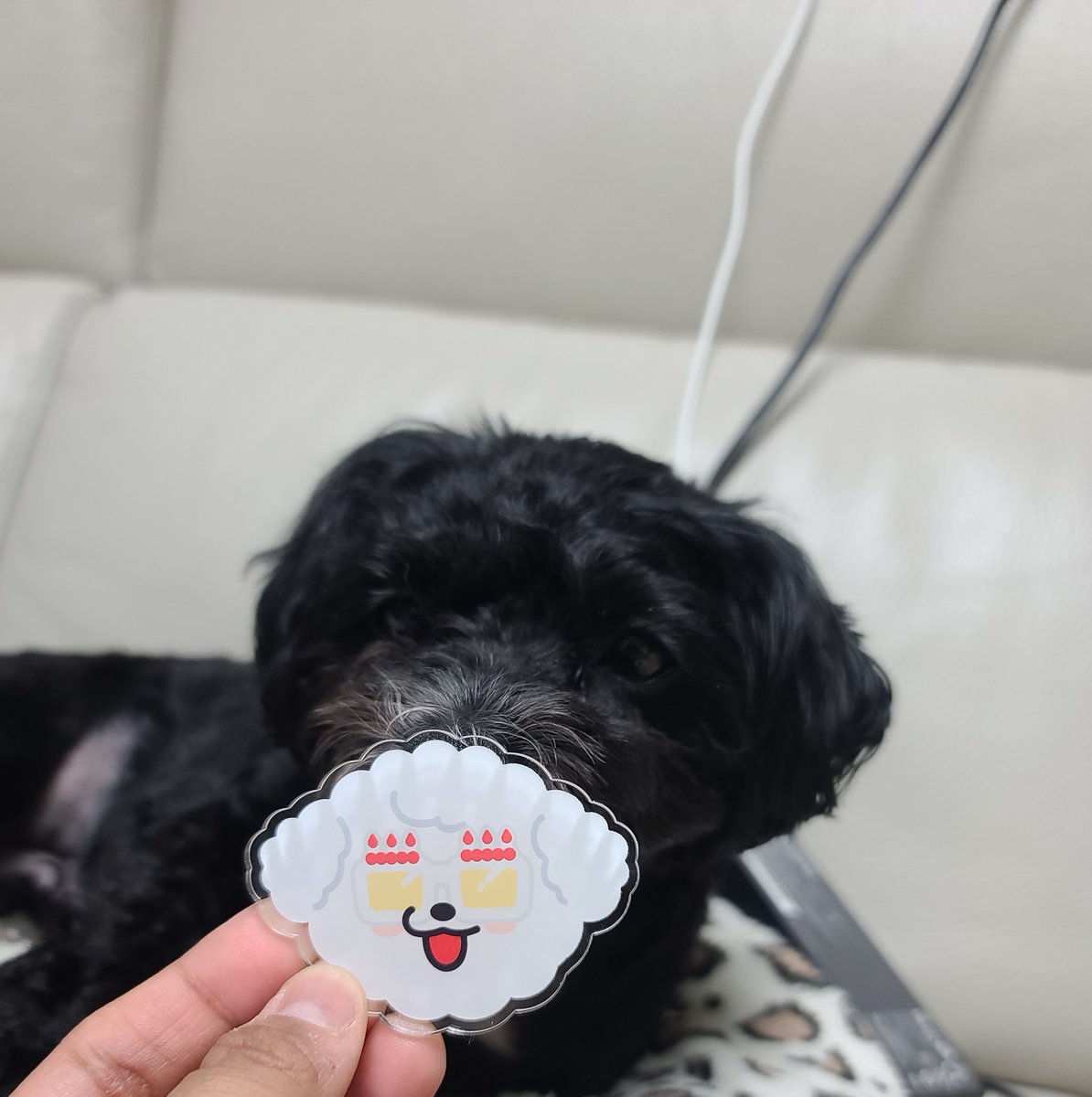 군페페로니🕯 tweet media