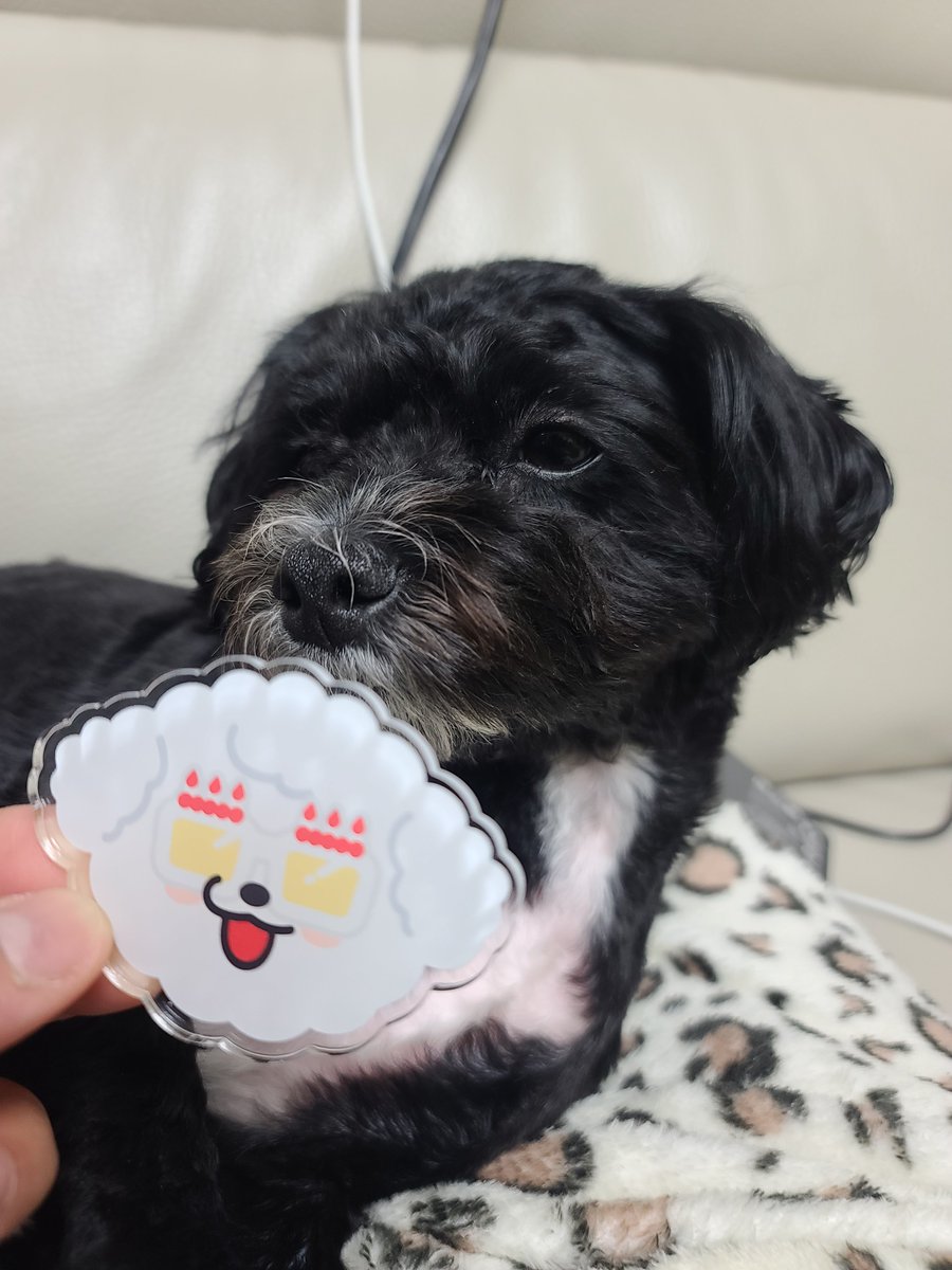 군페페로니🕯 tweet media