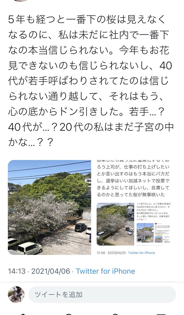 chlnacchan's tweet photo. 日本語不自由な上司、うら覚えうら覚え言ってて、いやうろ覚え…間違えるならせめてうる覚えにしましょうね…てか裏って何…と思いながら静観すること早数年。社外でも言ってて恥ずかしいし、あのとき訂正しておけばよかったと最近後悔を始めました……
今年も桜が綺麗です🌸🌸🌸🌸🌸🌸 https://t.co/MbmeBlgz5O