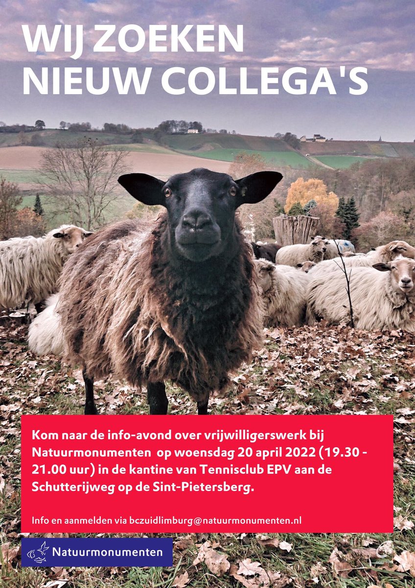 Ollga__'s tweet photo. Wie komt onze gezellige club vrijwilligers versterken? 🌿🌱🌺#Natuurmonumenten #SintPietersberg #Maastricht https://t.co/Fd4boizn8d