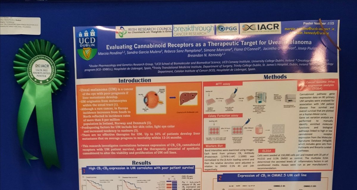 Extremely delighted to have been shortlisted for the #IACR2022 poster prize.👩🏻‍🔬👁️
Thank you for your support @BreandanKennedy @BreakthroCancer @kayleighslater 🔬🧬
@IrishResearch @OPGG_UCD @News_IACR #research #CancerResearch #UvealMelanoma   #Cannabinoid