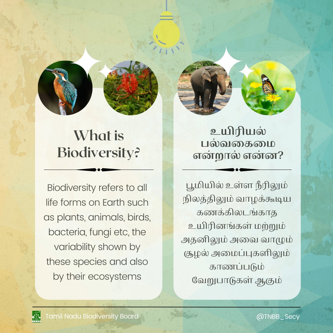 TNBB_Secy's tweet photo. What is Biodiversity❔❕💡

#biodiversity #definition #simpledefinition #basicdefinition #nature #awareness #education #TNGovt https://t.co/N1EAU4H6Ij