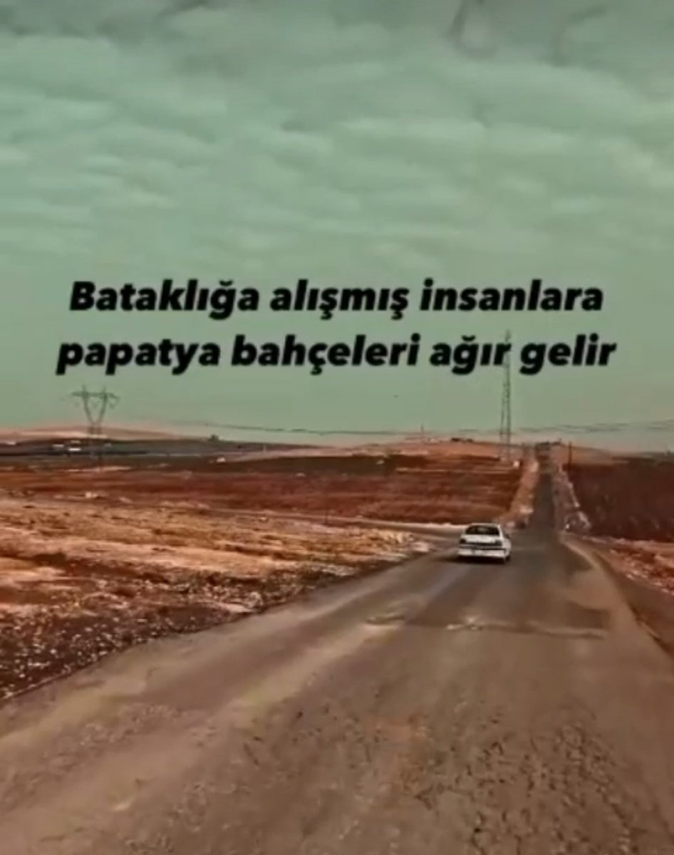 nzldmrkya (@elisa83576244) on Twitter photo 