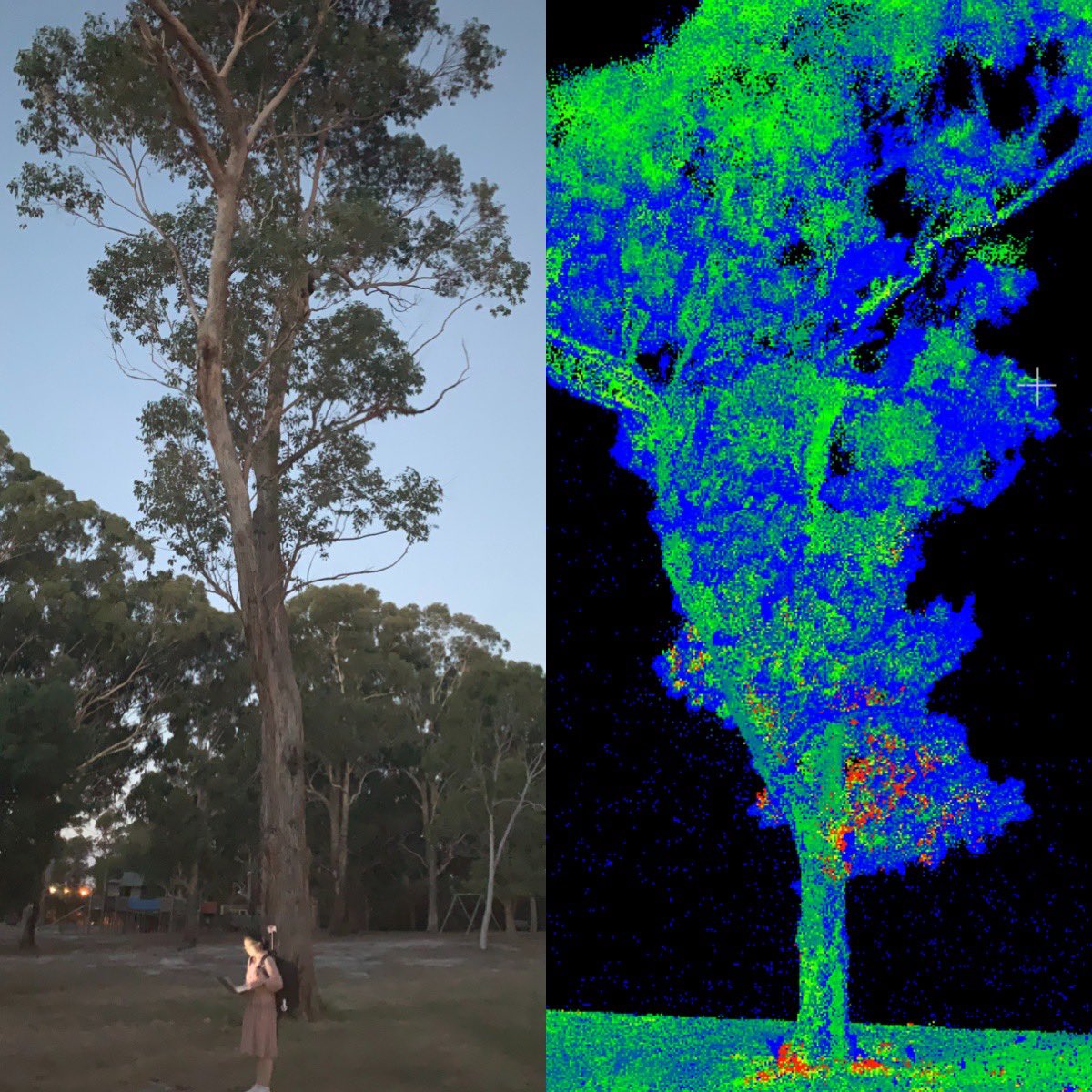 Jane_Ruizhu's tweet photo. Build my own Ultra-dens/ROS-SLAM LiDAR system with DJI Livox AVIA (https://t.co/qMQQhzL4xP) Works very well for urban parks 🥳 Ready for a test scan in the native forest #Lidar #dji #ros #mapping https://t.co/0MqK1cbkdR