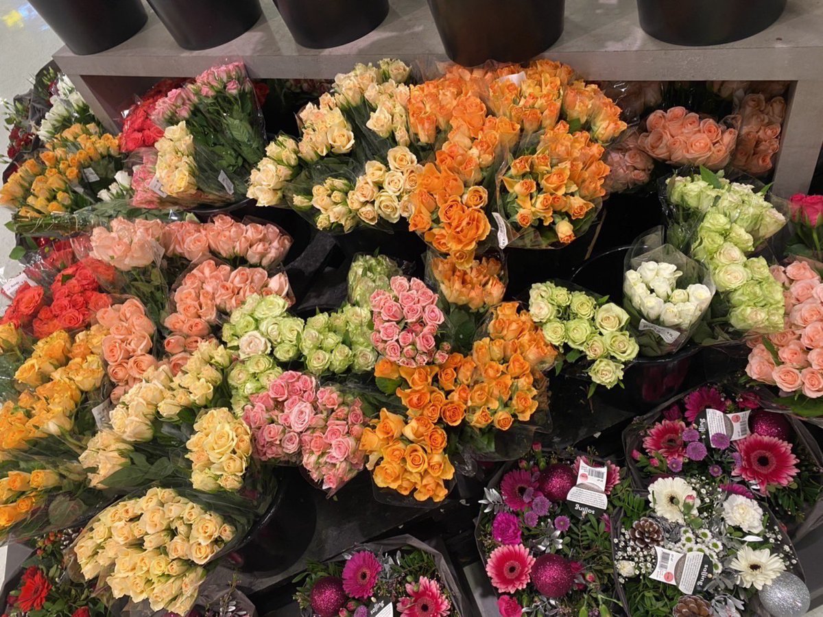 mormorxt's tweet photo. flower flower flower flower -✿ https://t.co/T252CdamC0
