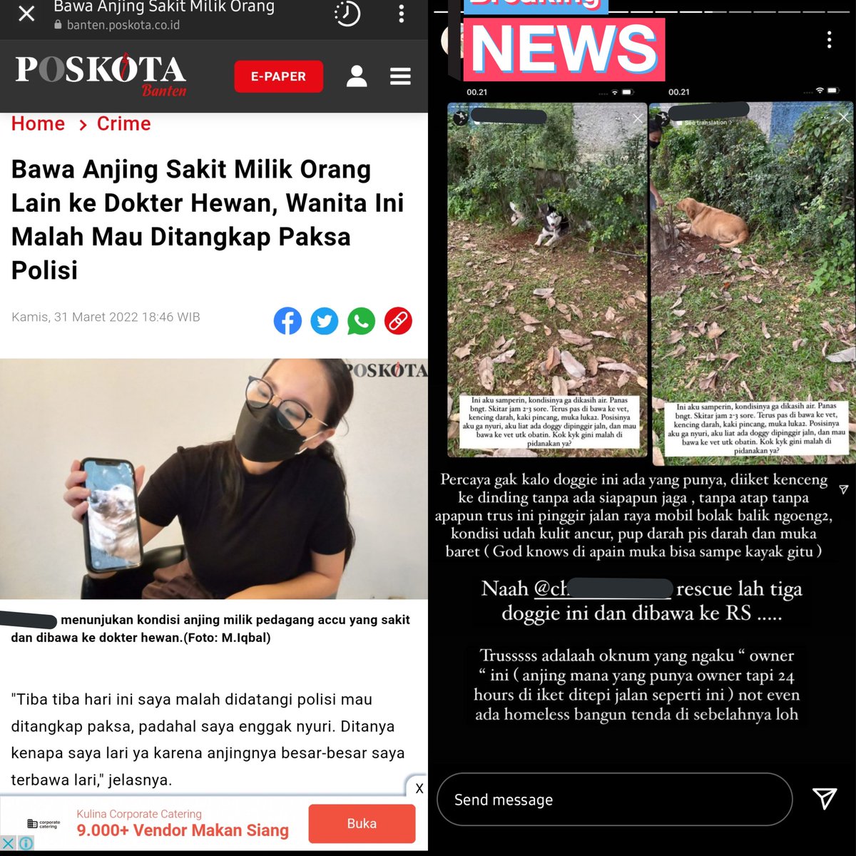 tubirfess's tweet photo. 2beer! Ada orang ngeliat 3 anjing diikat kenceng di dinding di pinggir jalan raya panas2 dan hujan2 seharian, kondisi sakit parah, lalu memutuskan untuk di rescue ke dokter. Tiba2 mau ditangkap paksa polisi TANPA surat penahanan karena rescuer tadi dianggap menyulik 3 (cont) https://t.co/1GvybIEm7A
