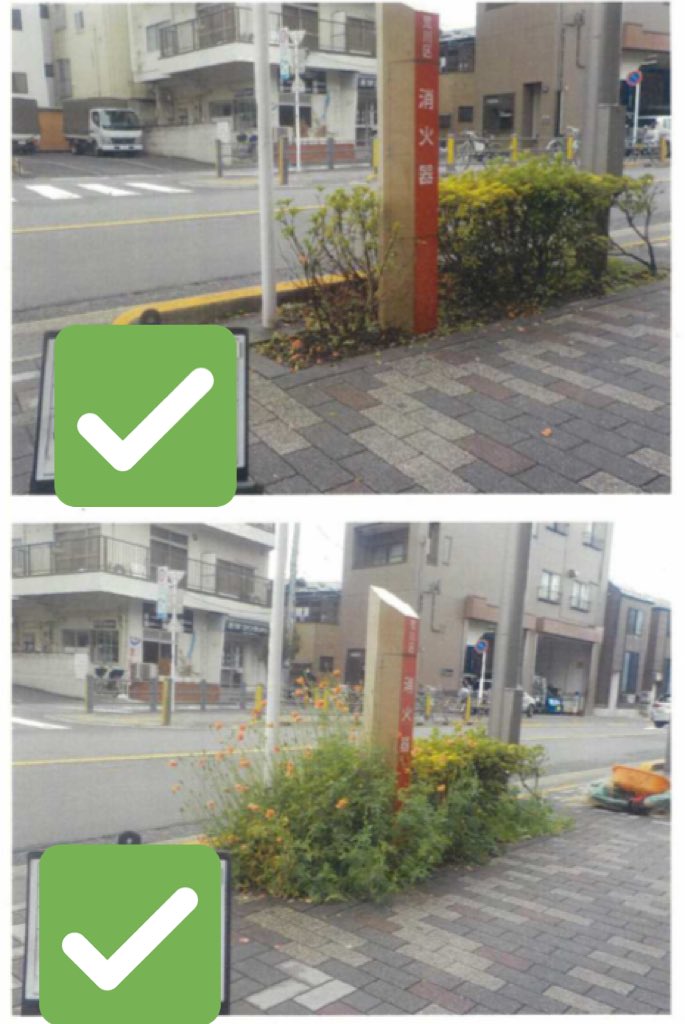 尾久の原防災通り 尾久の原公園 明治通り にナガミヒナシゲという外来植物が群生している報告を区民の方から頂戴し かぶれたりただれを起こすこともある植物ということで本日担当課が素早い対応を行ってくださいました 専門知識がないと気付けないご指摘ありがとうご 尾久の原防災通り 尾久の原公園 明治通り にナガミヒナシゲという外来植物が群生している報告を区民の方から頂戴し かぶれたりただれを起こすこともある植物ということで本日担当課が素早い対応を行ってくださいました 専門知識がないと気付けないご指摘ありがとうご