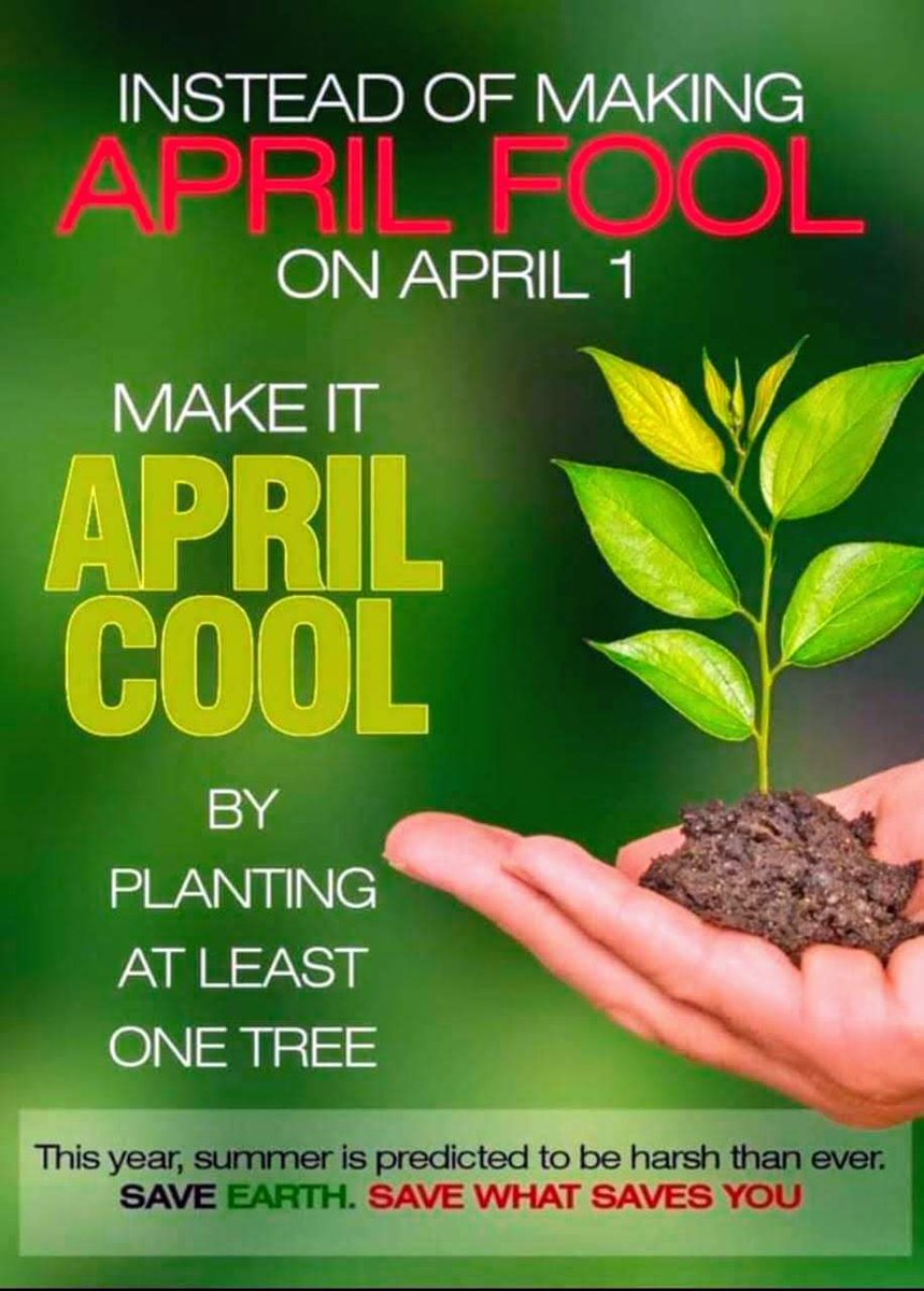 naturebricks's tweet photo. Be an April Cool 🌳
Let's start this initiative 💚
#Naturebricks #April1st #AprilCool #India https://t.co/nbjSY4d1j6