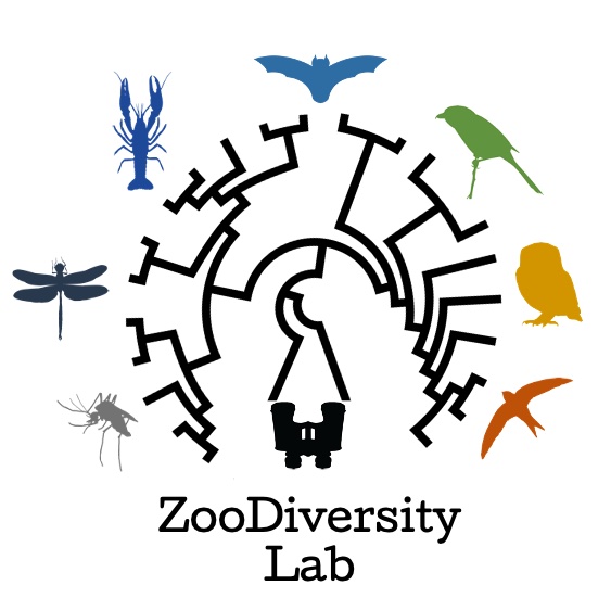 A little #update: from now on, we are the ZooDiversity Lab and this is our new logo.
Thanks a lot for your votes, more things are yet to come so stay tuned‼️

#AcademicTwitter #zoology <a href="/OpenAcademics/">OpenAcademics</a> <a href="/AcademicChatter/">Academic Chatter™</a>