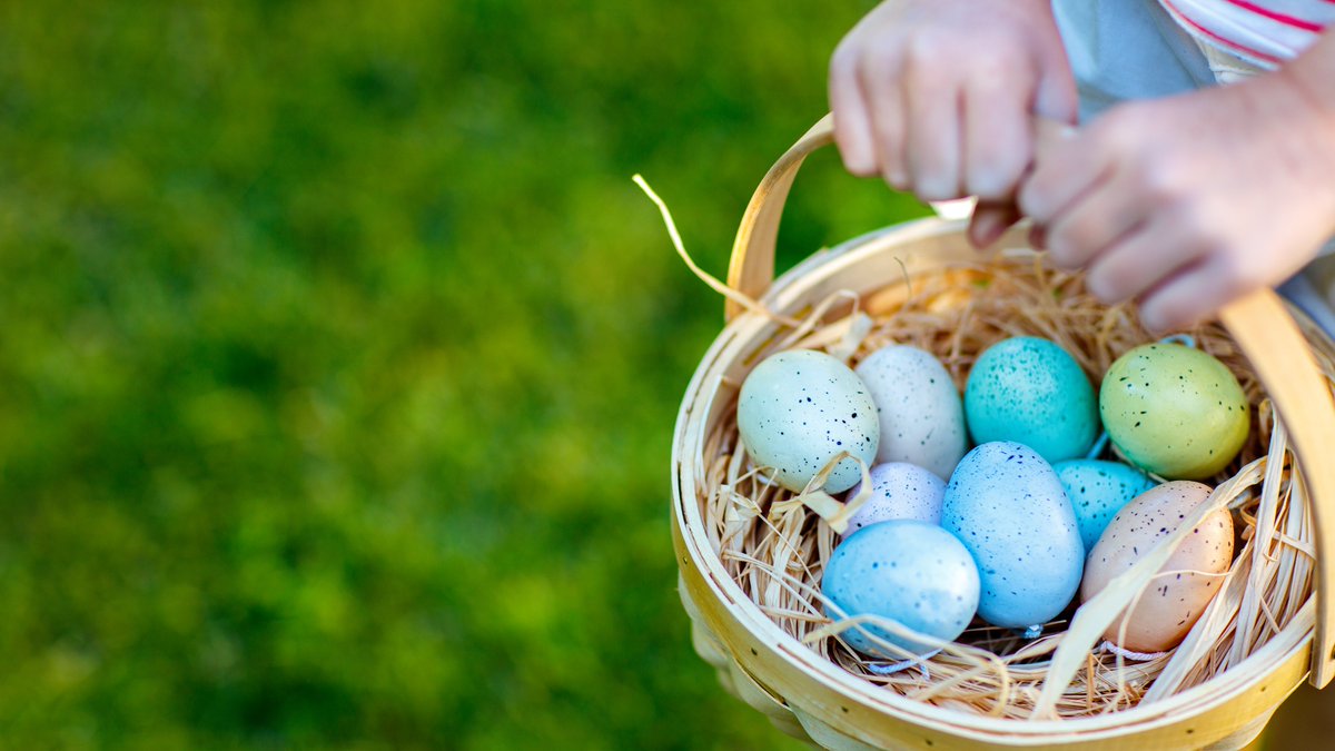 OliveDiningLtd's tweet photo. Happy Easter from all at Olive Dining! #easter #catering #schooldinners #olivediningltd https://t.co/e3zVhh9ao3