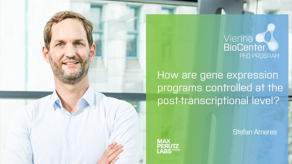 TrainingVbc's tweet photo. Stefan Ameres @MaxPerutzLabs @AmeresSL is offering a position in our Spring call. Check out our website for more details: https://t.co/TjdAPUBkGR
#Post-transcriptional #GeneRegulation #RNA_Silencing #RNA #Metabolism https://t.co/6f1rnPVNrw