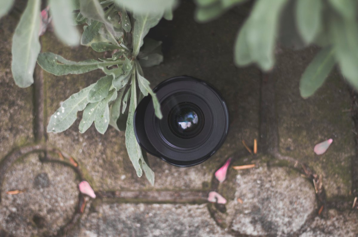 🎥 Comment bien choisir son système de télésurveillance ? 🚨

🔎 Retrouvez toutes les informations sur notre blog AlloMarcel : blog.allomarcel.com/2022/04/bien-c…

👉 Et pourquoi pas vous ?

#allomarcel #système #telesurveillance #sécurité #alarme #jardin #logement