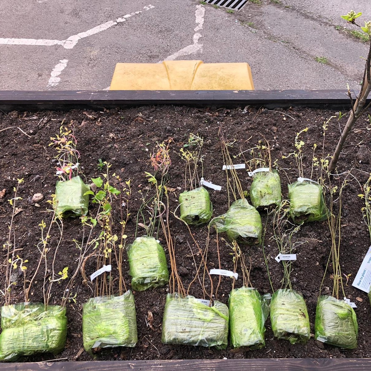 grandunionltd's tweet photo. This week, we planted 90 different species of trees with residents and support workers at Hestia House @springhousing led by Hestia's artist-gardener Matt Cox @mattblackteeth 🌱 🌳
#SpringHousing #TheGrowingProject #GrandUnionGallery #EndHomelessnessForGood https://t.co/MxxFTrk88O