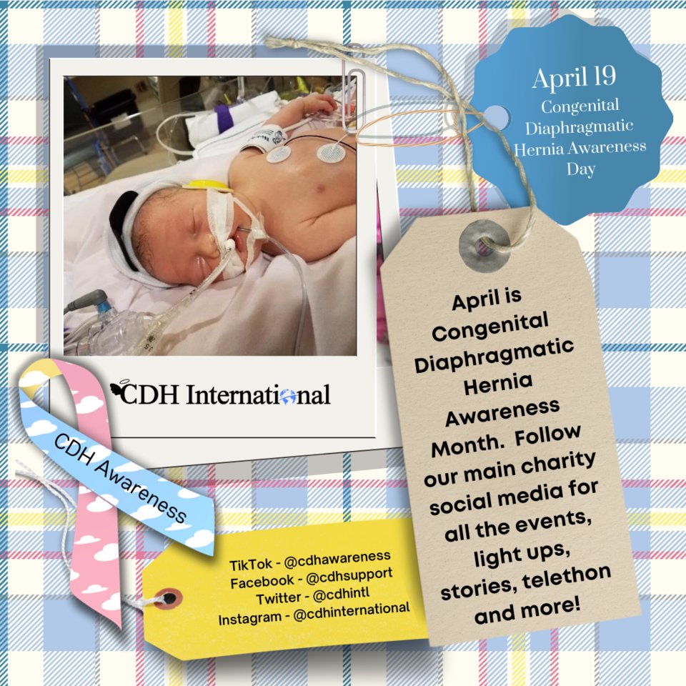 April is Global Congenital Diaphragmatic Hernia Awareness Month!

Follow our main charity social media for all the events, light ups, stories, telethon and more! 

cdhawarenessday.org

#CongenitalDiaphragmaticHernia #CDH #CDHAwareness #cdhchallenge #CDHAwarenessMonth