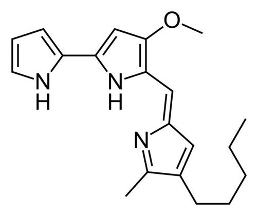 ¿Hay algo de verdad en las leyendas que hablan de la aparición de sangre durante la Eucaristía? Algunas cepas de la bacteria Serratia marcescens, a la que le chifla el pan, producen Prodigiosina, un pigmento rojo capaz de engañar a cualquiera...