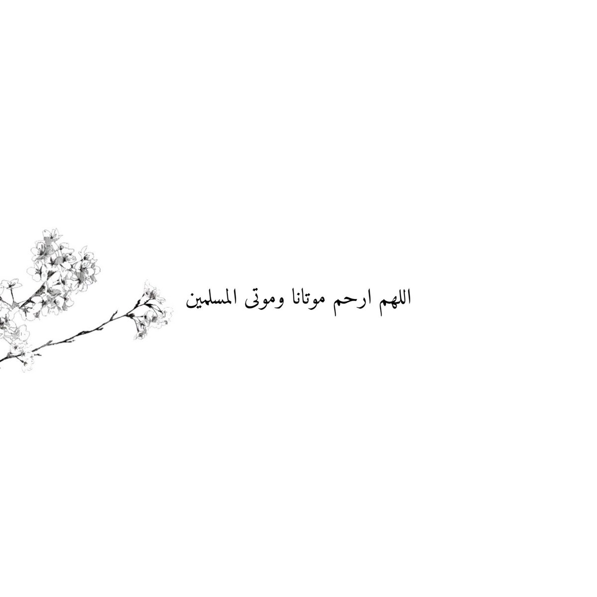 alabdi06's tweet photo. #يوم_الجمعة https://t.co/2wRPrAX7pS