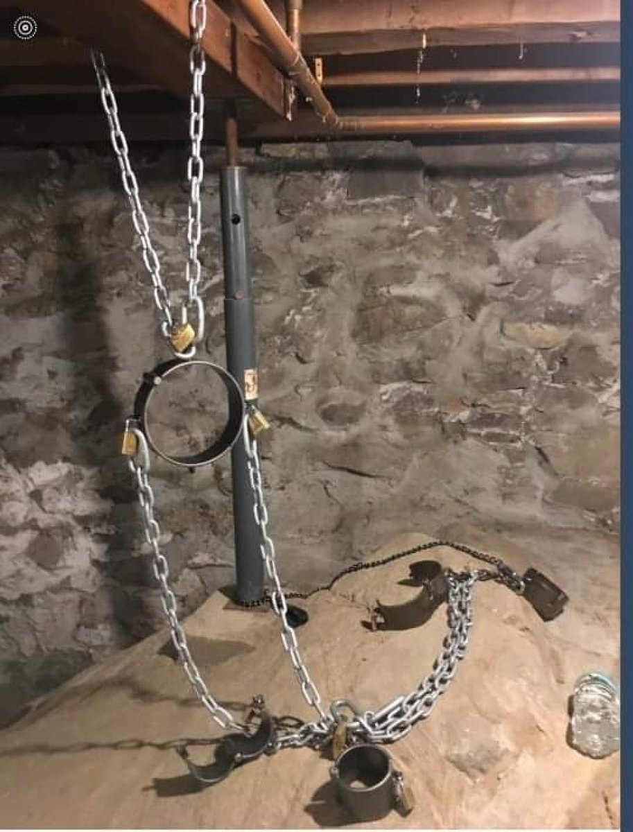 John Willie tweet media