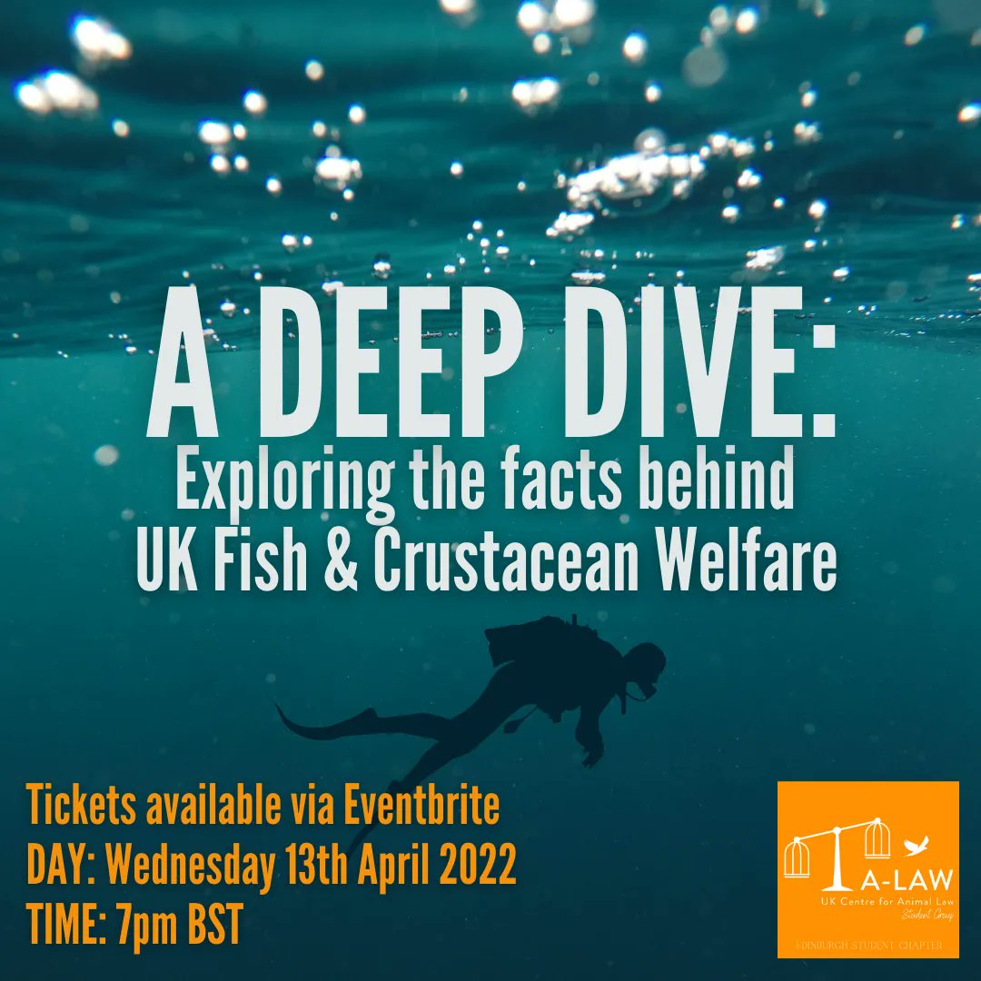 A Deep Dive: Exploring the facts behind UK Fish &amp; Crustacean welfare.

Our Edinburgh Student Chapter <a href="/UoEALaw/">University of Edinburgh A-Law Student Chapter</a> will host <a href="/CulumBrown/">Culum Brown 🇺🇦</a>, <a href="/birchlse/">Jonathan Birch</a>, <a href="/PaulaSparksLaw/">Paula Sparks 🇺🇦</a> and Amro Hussain to discuss fish &amp; crustacean welfare in the UK. 

buff.ly/3qQBUea - Register