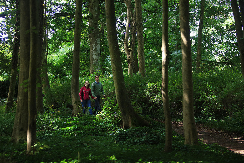 waterways_Irl's tweet photo. #TrailoftheWeek
Enjoy a family walk in this forest friendly trail in Portumna Forest park π£
The Forest Friendly Walking Trail is on wide and smooth forest road and timber boardwalk.
https://t.co/gWbQl5pE4Z https://t.co/L97XGaLDwo