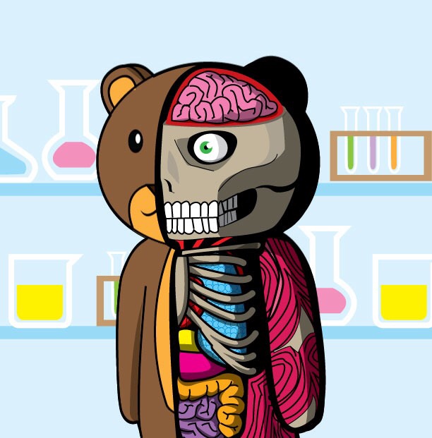 RandomTeddyNFT's tweet photo. Check out this item on OpenSea https://t.co/O48VDHaRRE via @opensea 

Random Teddy - Special Edition
Anatomy Teddy in Lab

#nft #nfts #teddybear #randomteddy #nftart #nftartist #nftarts #newnft #newNFTs #newnftproject #NFTCommunity #NFTCollection https://t.co/bdKGhSx7mM