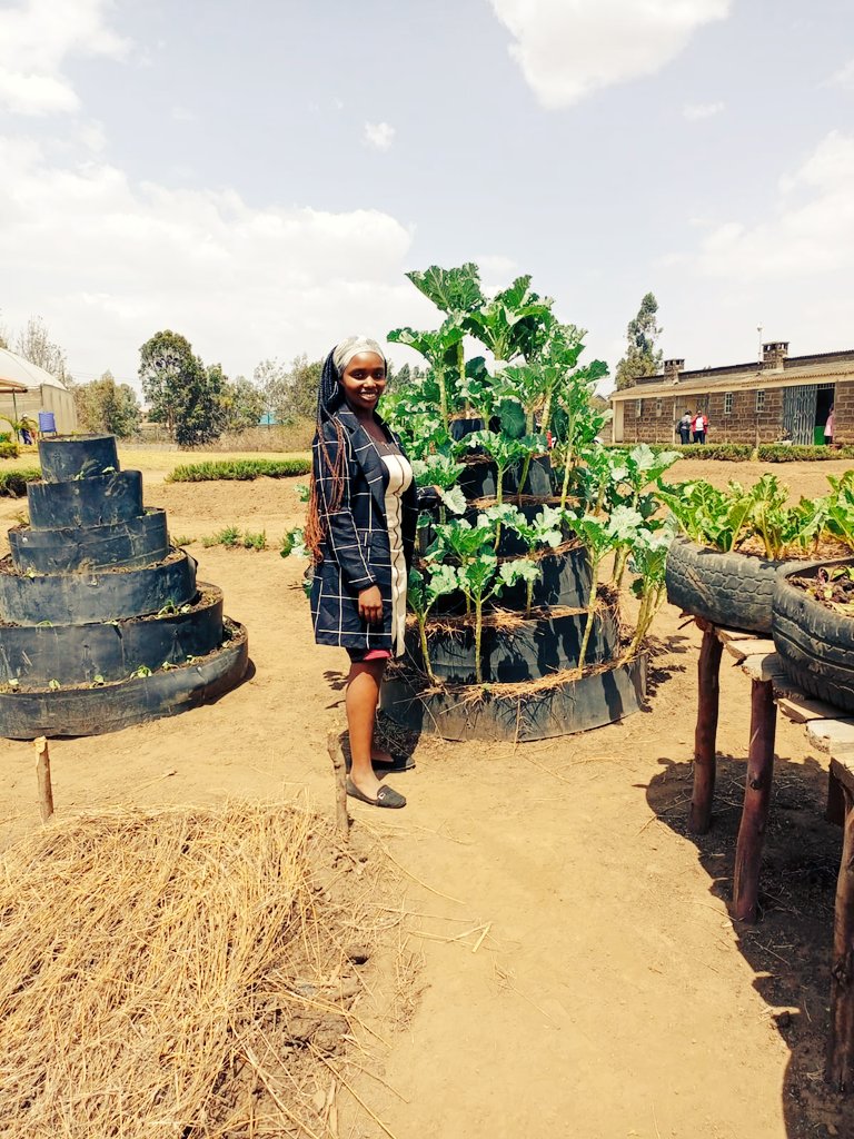 DeeChelule's tweet photo. Kitchen gardening launch
@NakuruAgriCall 
#urbanfarming
#Organic
#agriculture 
#agribusiness https://t.co/8BieAeR2ms