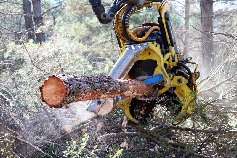 ACNcatcentral's tweet photo. Les #serradores aturen la producció per protestar per la falta de matèria primera i mà d'obra mecanitzada al bosc. Els problemes d'abastiment poden deixar sense palets moltes empreses i posar en risc el transport de mercaderies @SerradoraBoix #ARESCAT
https://t.co/BsgdC37Ifo https://t.co/yVREyjW7rK