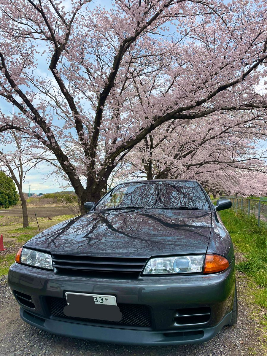 mtBNRR32's tweet photo. #愛車と桜のコラボ写真を載せて5RTを目指せ https://t.co/wGcQq5QcUa