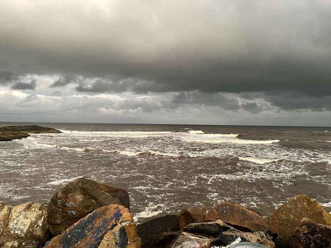 CookCumberland's tweet photo. Big difference only a couple of weeks make...Nambucca.. 🤔 https://t.co/YXsqbByQ1f
