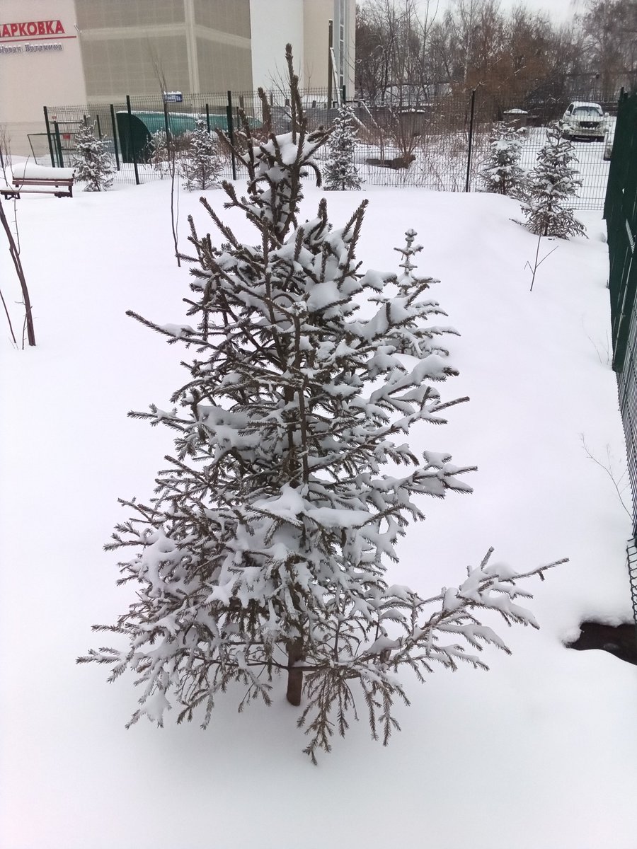 Главный центурион Лимпопо поздравляет всех с новым годом! Авэ <a href="/LimpopoBarmaley/">Бармалей💎🩲</a> <a href="/ctuluctulu/">Кот Vерховный ПатриZий 🌴🐈🌴🐊🌴</a> and me <a href="/VGigurda/">Vlad Zetgurda</a>