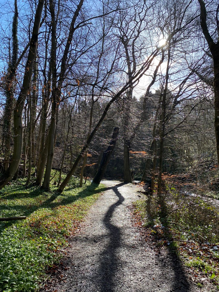 DeneNnr's tweet photo. Great work down at the West end this morning! A beautiful sunny morning after the snow showers 🌿❄️ https://t.co/CY3tiWBU79