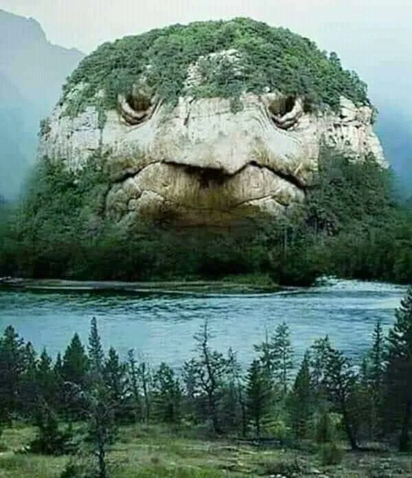 AmazingNature00's tweet photo. This is Amazing https://t.co/Jgry1boUqX