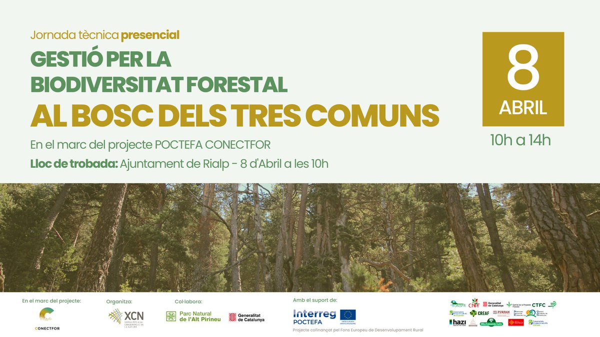 XCNatura's tweet photo. 🌳Vols conèixer eines de gestió per millorar la biodiversitat forestal i la conservació de la natura?
📅El proper divendres, 8 d'abril, vine a la jornada presencial del projecte #Conectfor
📝Inscriu-t'hi: https://t.co/3UDLs0cfBw https://t.co/NZW25fUSC2