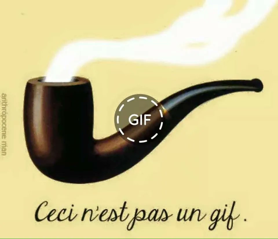 PhilosophyMttrs's tweet photo. wow this is the most amazing GIF ever ! https://t.co/sy1YYdOSNL