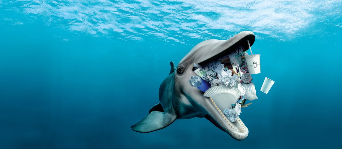 TazLuschwitz's tweet photo. @WWF creating great stimuli to start conversations about protecting our oceans from plastic waste. These photos are a powerful way to establish understandings about #SDG14 and spark emotions among students about the change needed for our oceans. #educ4750 #UoNTeach https://t.co/2ff9658Iue