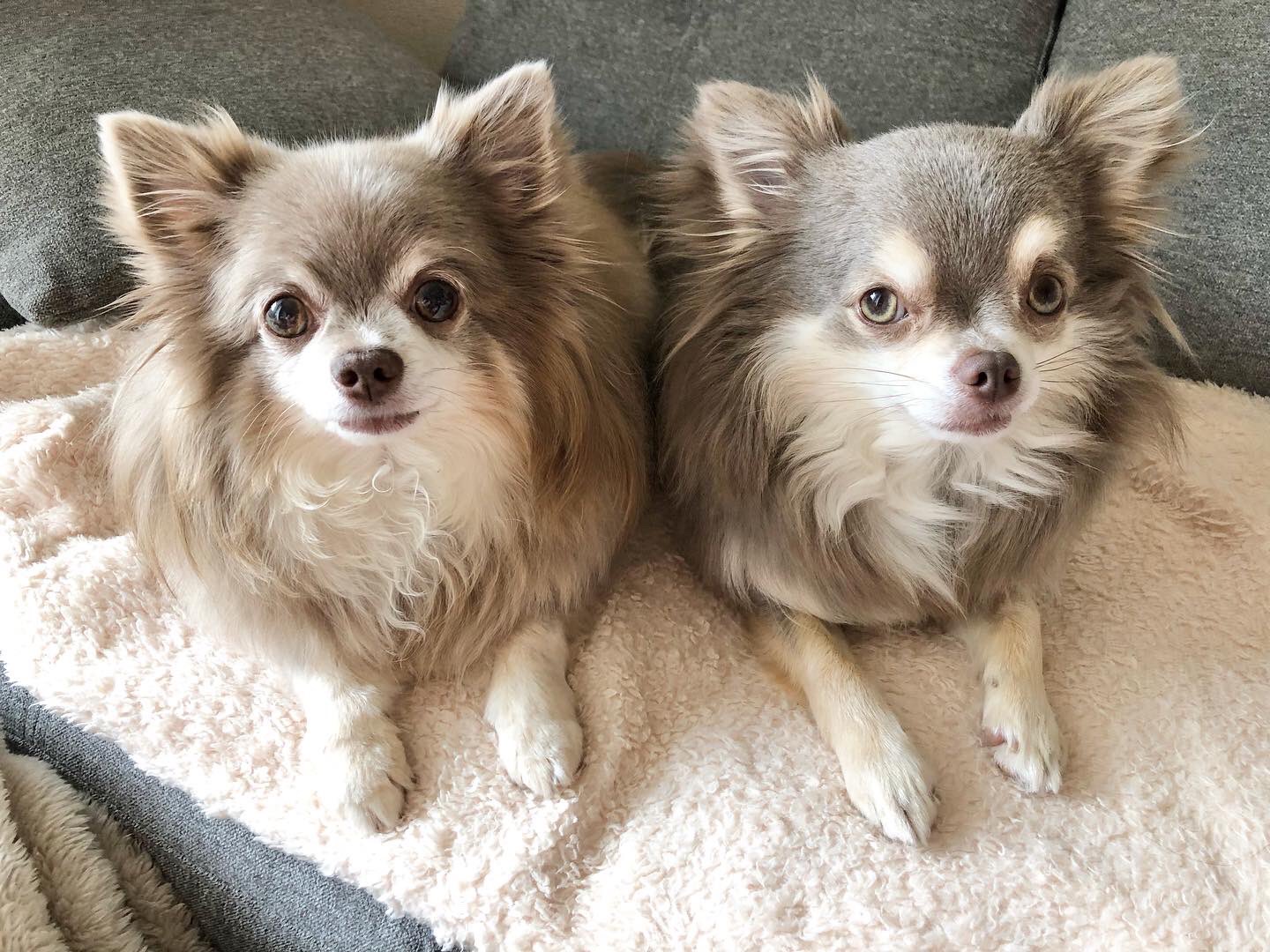 Gakky Renn 28 Twitter