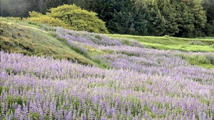 April is here, spring is here