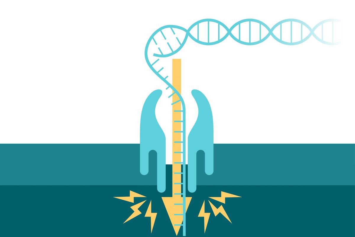 NewsMedical's tweet photo. Study investigates rapid nanopore whole-genome sequencing approach for identifying genetic variants https://t.co/j3LJ6gAIeQ @Stanford @NaturePortfolio #Nanopore #RapidNanopore #Genetics #GeneticVariant #GenomeSequencing https://t.co/gdJNfrEE3z