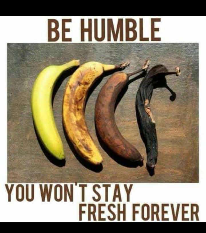 KhabagoNicholas's tweet photo. #cleverminds https://t.co/Y8BFjVpW1l