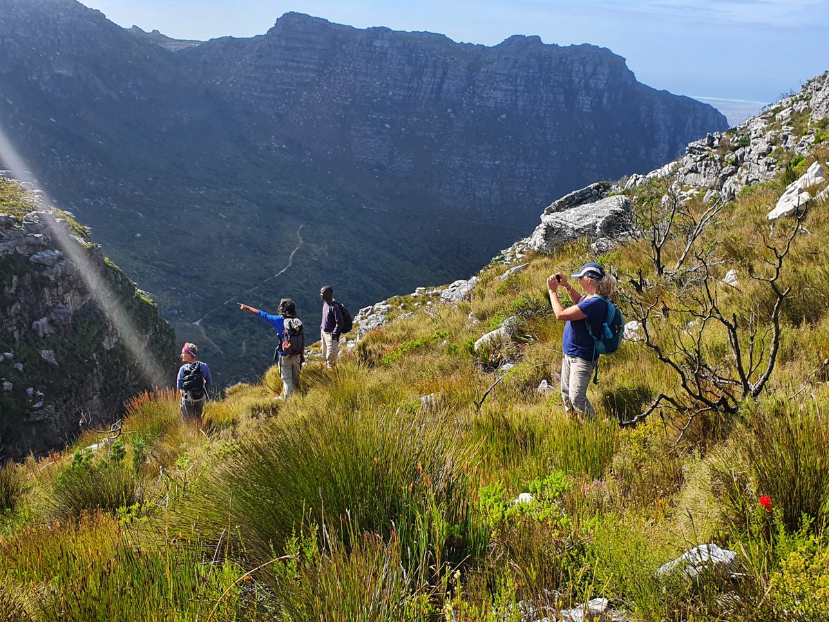 AWOLTours's tweet photo. Exploring new hiking trails on #TableMountain in #CapeTown with a group of #hikingtourguides. I have all been hiking on this mountian for over 20 years and still find new trails to explore https://t.co/7r123LrQQ4