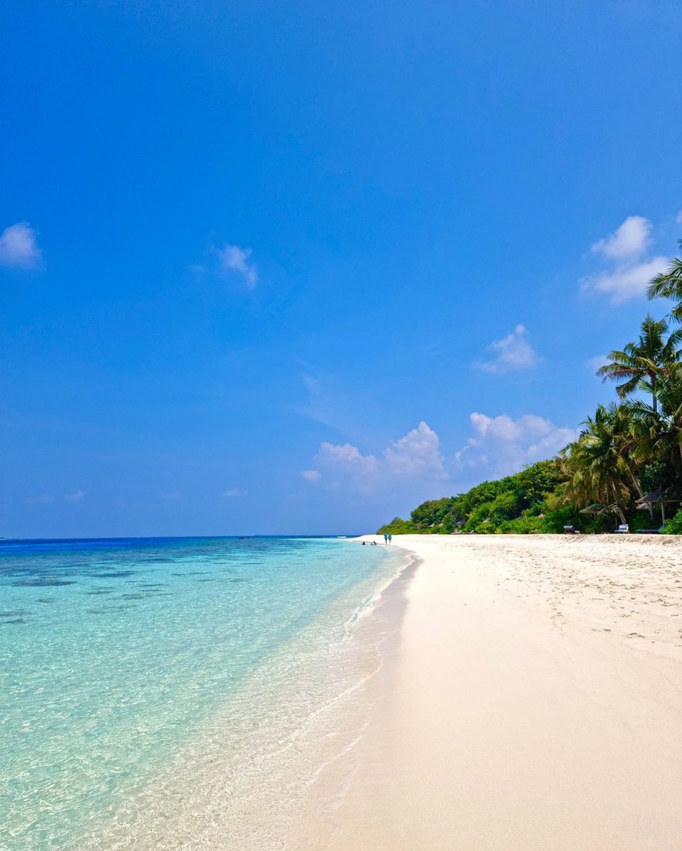 reethifaru's tweet photo. Happy sunny days at #reethifaruresort 🏝🤍☀️
Will we be seeing you soon?

Photo credits: @majan_adventures 
.
.
.
#reethifaruresort #reethifaru #maldives #maldiverne #paradise #paradiseonearth #nature #beautifulnature #colors #whitesand #whitesandbeach #palmtrees #turqoisewater https://t.co/iJJVRU2B3c