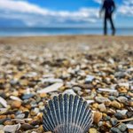Photo by VisitRehoboth (@VisitRehoboth)