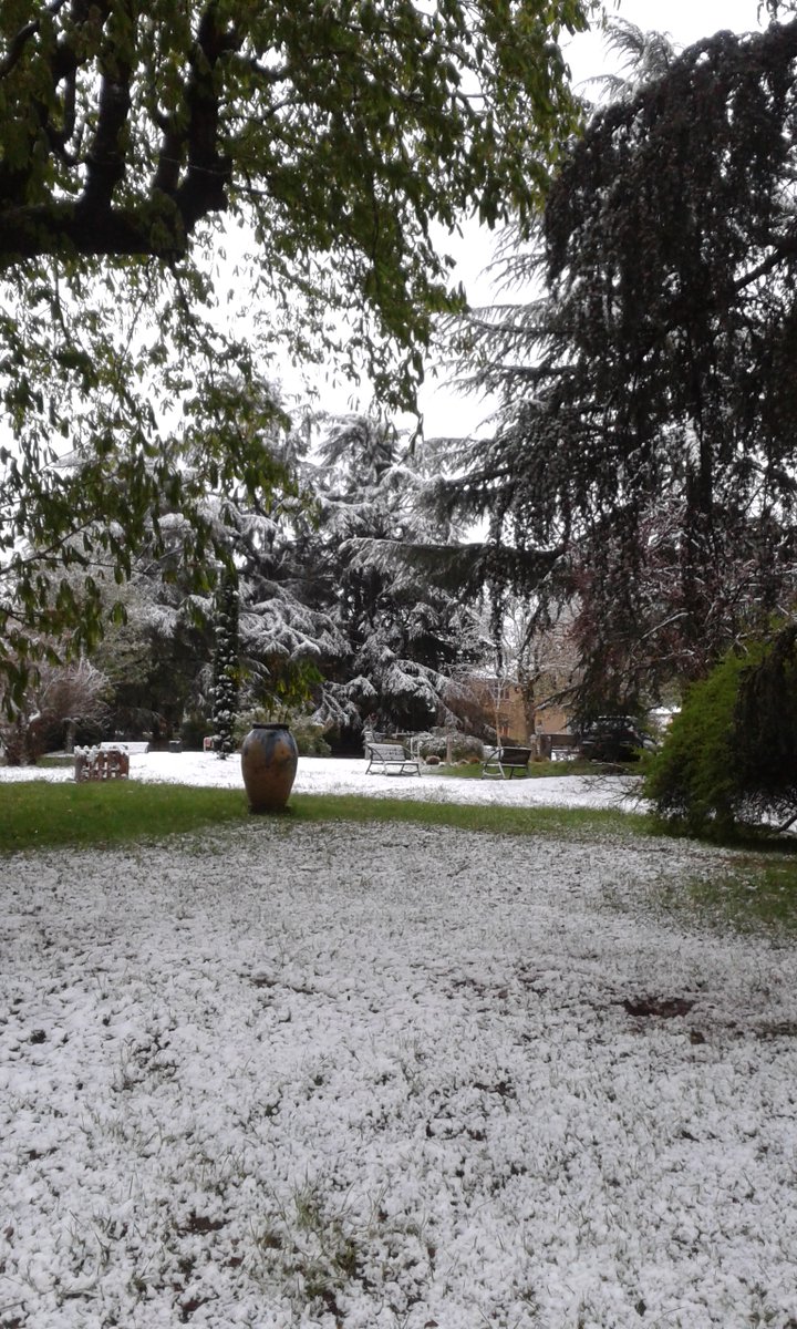 Un 1er avril tout de blanc vêtu ! #lyon