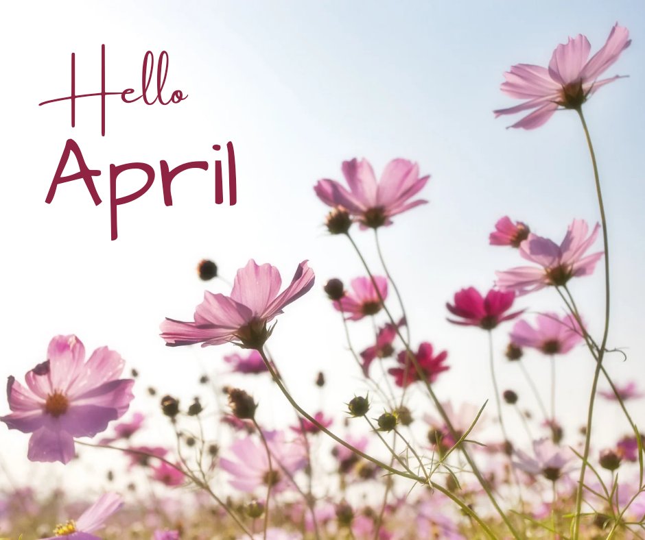 jbeacollections's tweet photo. Happy New month #aprilfools #stargateelectronics #april #happynewmonth https://t.co/oKKHrTkQWQ