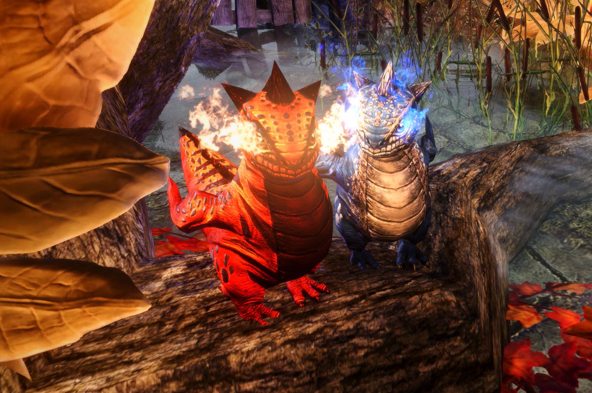 BattaGuar's tweet image. Greetings one and greetings all! Today Batta the Bantam Guar has finally made it to Blue Bird Courier's special column, where we might all partake in her adventures throughout Tamriel! On this auspicious day we share a picture of Batta and her beloved husband, Drogon.