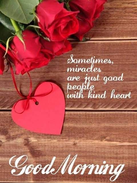 Daddyrami21's tweet photo. @DSanina2015 https://t.co/c2imidFvtm