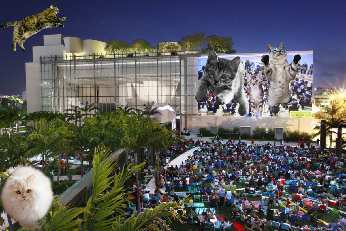 nwsymphony's tweet photo. Our #WALLCATS Concert last week was absolutely purr-fect! Did you catch it? https://t.co/pOUxk7ZP78