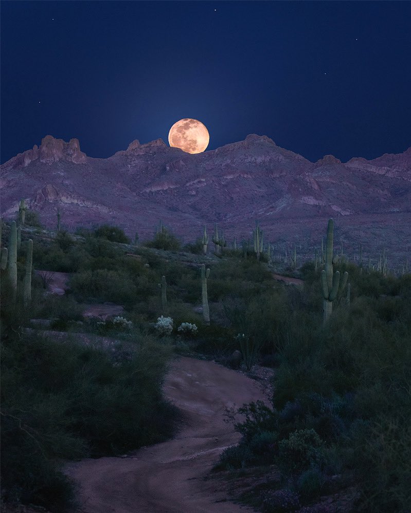 I’m not superstitious.. but I am a little stitious