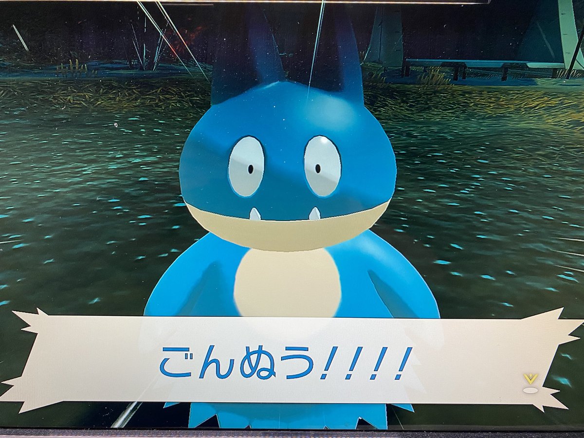 ゴンベ Twitter Search Twitter