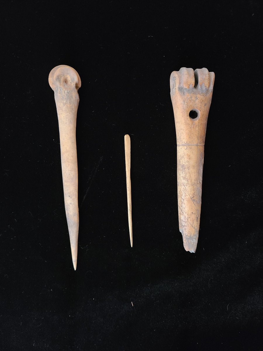 WNMUMuseum's tweet photo. Are you excited to see Museum Director Dani dive into the 2nd  Archaeologist in Action?  Join her at the museum in the East Visible Collection Room today from 12-4.  
Here's a sneak peek into today's bone tools and projectile points from the NAN Ranch Ruin, we hope to see you! https://t.co/Zeg1AawxDN